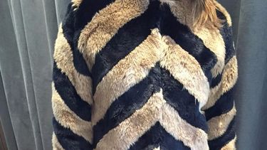 Sugerencia de hoy: Marfilia