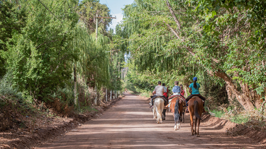 Dispar nivel de ocupación hotelera en los departamentos de San Juan, en el inicio de la temporada 2024.