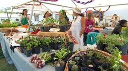 La agricultura familiar sanjuanina, presente en la Fiesta Nacional de las Destrezas Criollas