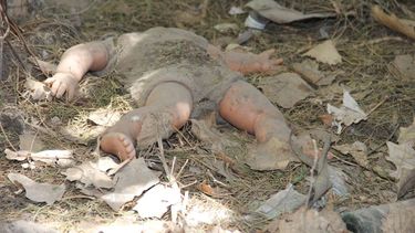 “Todas las noches rezábamos pidiendo una mamá y un papá”