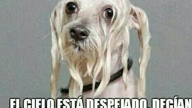 Mirá cómo va a estar el tiempo mañana: ¿Se nos viene la lluvia?