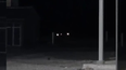 Las extrañas luces que se divisaron el cielo sanjuanino. Las extrañas luces que se divisaron el cielo sanjuanino.