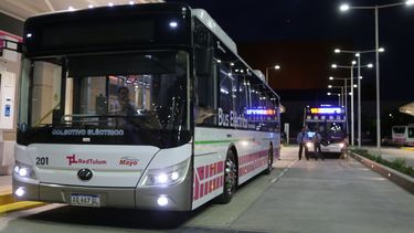 Te mostramos los nuevos chiches de la Red Tulum: los colectivos eléctricos