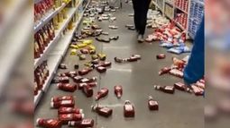 Los videos del fuerte temblor en Chile y la impresionante reacción de las aves