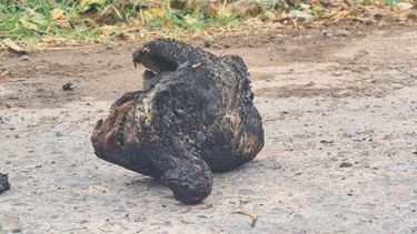 Por una insólita razón: explosión y principio de incendio en una escuela de Rawson