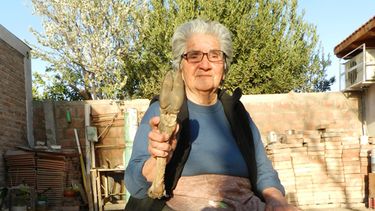 Curandera por orden de la Virgen