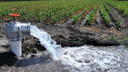 Regar con perforaciones de electricidad será más barato: una rebaja del IVA apunta a bajar el costo de producir en el campo sanjuanino. Regar con perforaciones de electricidad será más barato: una rebaja del IVA apunta a bajar el costo de producir en el campo sanjuanino.