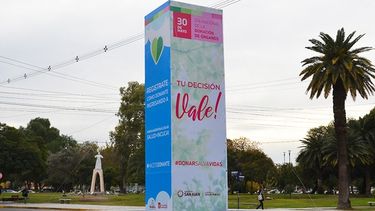 Este domingo elegí bien: mirá dónde podés inscribirte como donante de órganos