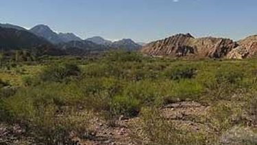 Valle Fértil: el dramático ruego para que llueva