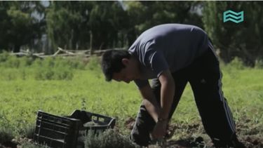 El camino de las especias de Calingasta, en la tele nacional
