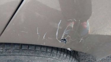 Una mujer denunció que una jauría le rayó y rompió su auto