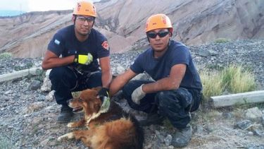 Rescataron un perro después de tres días atrapado en una grieta