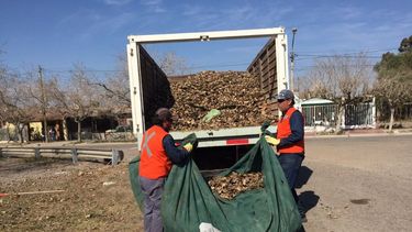 Sólo en un mes sacaron 20 toneladas de basura de la Circunvalación