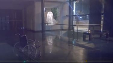 ¿Un fantasma en el Museo de Bellas Artes?: mirá el video y sacá tus conclusiones