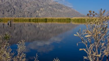 Tremendas imágenes que ofrece un tour en la Quebrada de Zonda