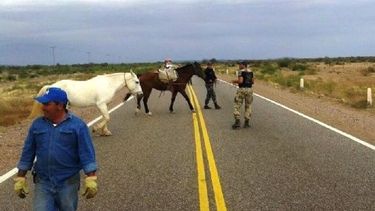 En mayo empiezan a alambrar Ruta 20