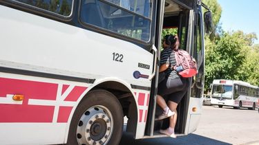 Estas son las empresas habilitadas para emitir la credencial para el boleto escolar gratuito