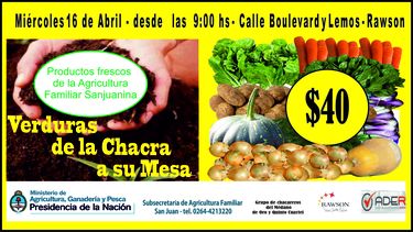 Mañana, nuevo día de verduras económicas