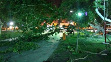 Un fuerte viento que alcanzó ráfagas de más de 70 km/h sorprendió a los sanjuaninos