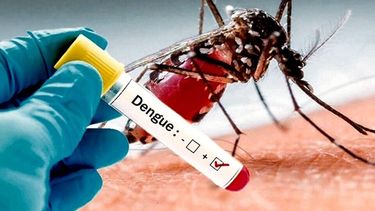 Ya hay casi 60.000 casos de dengue en Argentina; ¿qué pasa en San Juan?