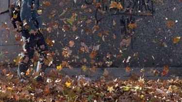 Zonda: compartí tu experiencia en Tiempo de San Juan