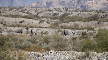 Tras el ataque de una jauría, el intendente de Albardón culpó a la falta de responsabilidad ciudadana