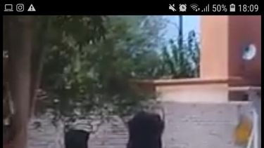 ¡Para cabrearse! Apareció una cabra atada en una plaza en Chimbas