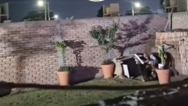 Denunciaron un alarmante caso de maltrato animal en Rivadavia: golpeaba a su perro con un caño