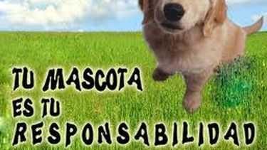 Rawson: programa de tenencia responsable y sanidad animal