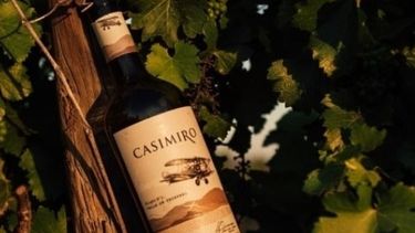El sanjuanino que viajó de vendimia en vendimia por el mundo y produce uno de los vinos del momento