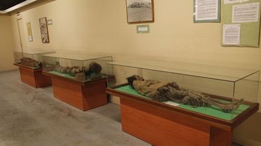 Aval de la UNSJ para restituir cuerpos a indígenas