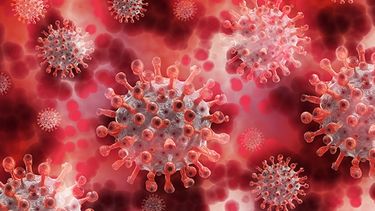 Julio termina con dos nuevos recuperados y sin nuevos casos de coronavirus en San Juan