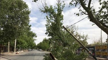 Los desastres del Zonda, departamento por departamento