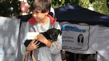 Festejo solidario: El Día del Animal también fue para los que más lo necesitan