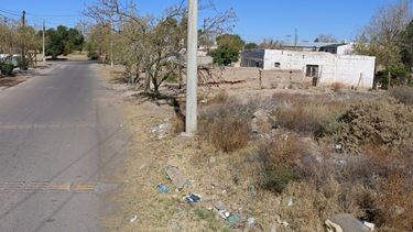 Cómo es el ambicioso plan de la nueva terminal y Avenida Rawson