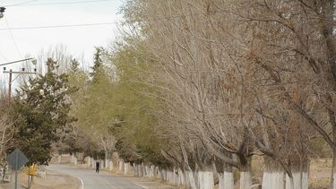 Obras de pavimento en la localidad iglesiana de Zonda