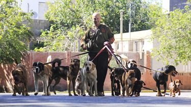 El encantador de perros