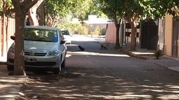 Vecinos denuncian que una mujer los aterroriza con sus perros