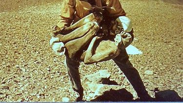 Un avance clave en el debate por los cuerpos indígenas en San Juan