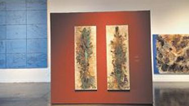 La crítica de Página/12 a la obra del sanjuanino Gómez Centurión