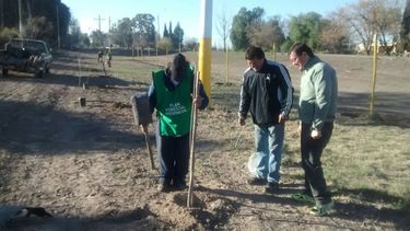 Atención vecino, forestación en Santa Lucía y 9 de Julio