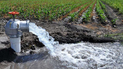 San Juan avanza en implementar una fuerte rebaja en el costo de la energía para el riego agrícola San Juan avanza en implementar una fuerte rebaja en el costo de la energía para el riego agrícola