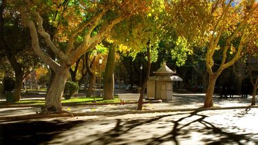 Cómo será el otoño sanjuanino y cuándo empieza