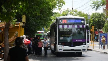 Encaran nuevos ejes para mejorar la Red Tulum a partir del 1 de enero