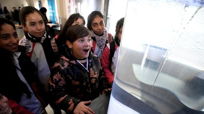 Prohibido No Tocar: la muestra itinerante regresa a San Juan