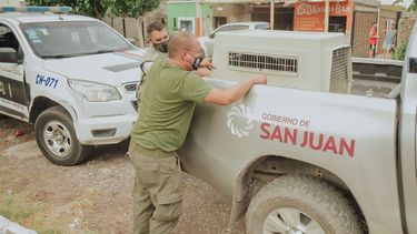 Qué podría pasar con los perros que mordieron a Dilan en Chimbas