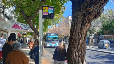 El impacto del paro general de la CGT de San Juan.