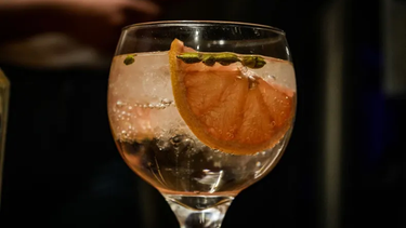 Catar San Juan: probamos gins hechos por manos sanjuaninas
