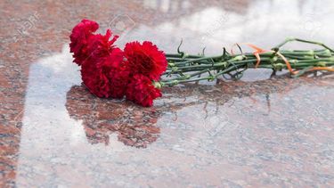 Flores en el cementerio, el regalo de cumpleaños menos pensado para Celeste