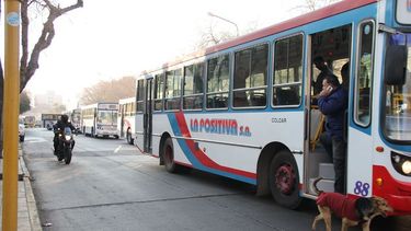 Salvá dijo que “no hacen falta 100 colectivos más” pero sí rever líneas